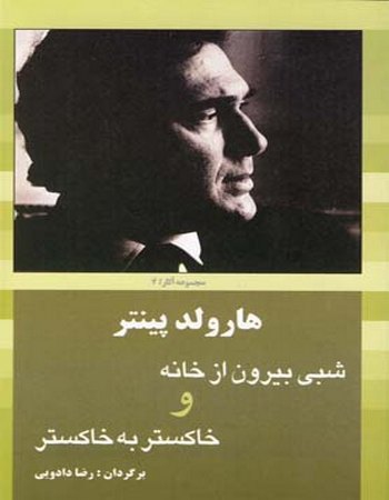 شبی بیرون از خانه